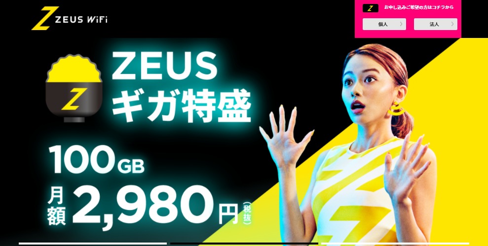 zeuswifiは100GB2980円